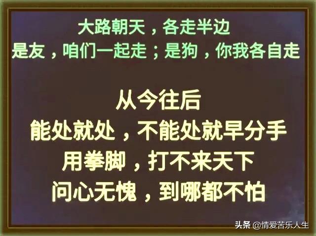 大路朝天各走半边，大路朝天各走一边是什么意思（大路朝天：是狗）