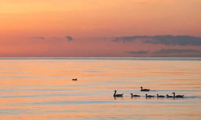 想念一个人太久 是会重逢的.，想念一个人心里很难受怎么办（对方会有心灵感应图片）