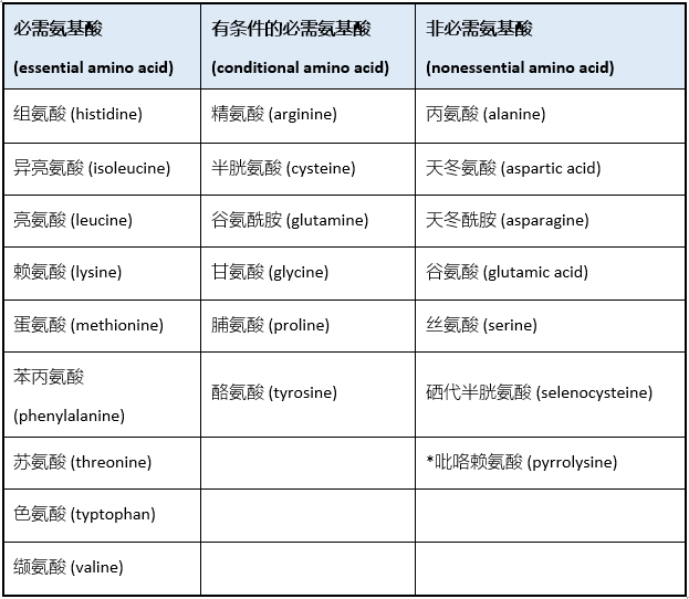 吃蛋白粉的副作用，蛋白粉的副作用（蛋白粉危害知多少）