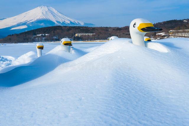 东北话最经典语句，东北话最经典语句大全（看看哪句东北话贴近你的行为性格）