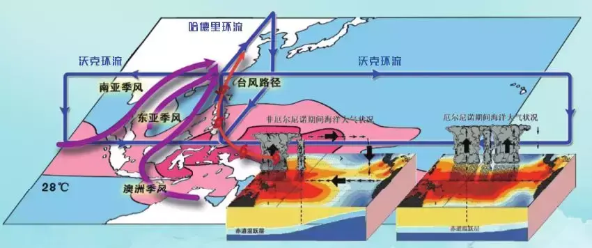 海和洋的区别(什么叫江什么叫河什么叫海)