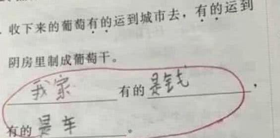 偶尔造句，偶尔造句大全简单（小学生零分造句“有的”走红）