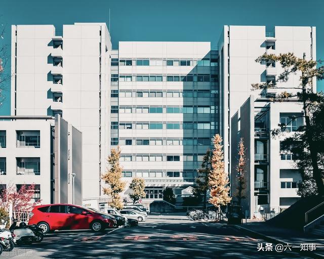 你行我素的意思，我行我素 意思（起底“五假CEO”红与黑）