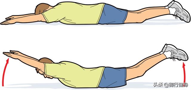 竖脊肌的锻炼方法，背部竖脊肌的锻炼方法（2个动作练好竖脊肌就行）