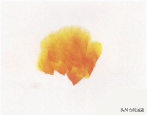 牡丹花头的画法对照表，写意牡丹花头的各种画法