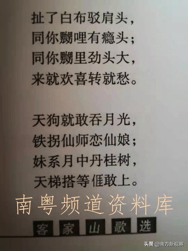 客家话讲狗贴草是什么草，狗草的功效与作用（狗有狗的幸福——浅谈客家人和畲族人跟“狗”的关系）