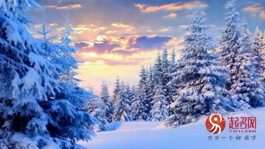 冰雪林中著此身，冰雪林中著此身不同桃李混芳尘什么意思呢（冬季出生的宝宝起名）