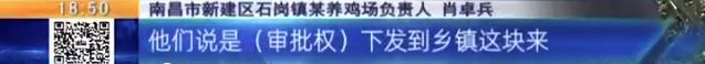 养鸡场投资多少钱，养1000只鸡需投资多少（男子投资200万元的养鸡场）