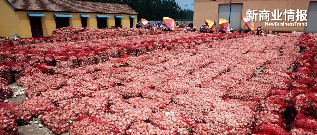 农村淘宝县级代理（我为淘宝做）