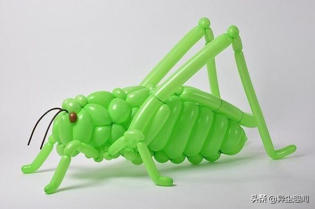 用气球做小动物教程，教你用气球做小狗的方法（日本艺术家用气球制作了令人难以置信的动物模型）