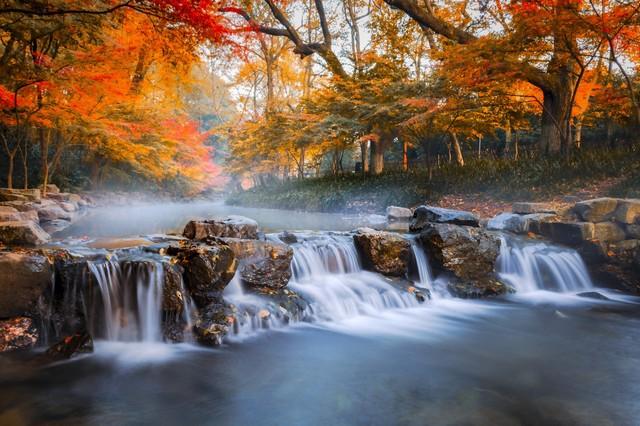 杭州必去的景点，杭州旅游必去景点推荐（杭州旅游十大必去打卡景点）