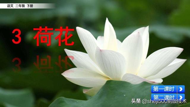 莲蓬的蓬是不是读轻声，莲蓬的蓬为什么读轻声（部编版语文三年级下册第3课《荷花》图文讲解）