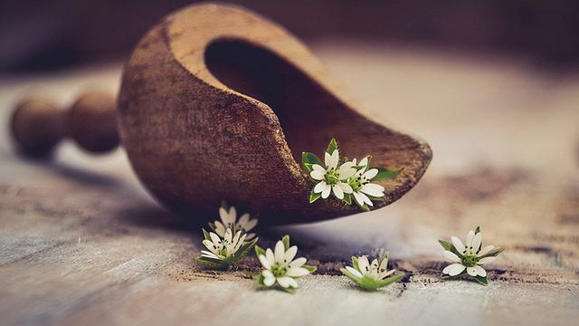 如霜的寓意（10个带秋字聪明机灵的宝宝名）