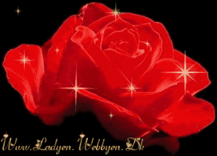 七月七日是情人节吗，每个月十四号都是什么情人节（今天是7月7日情人节）