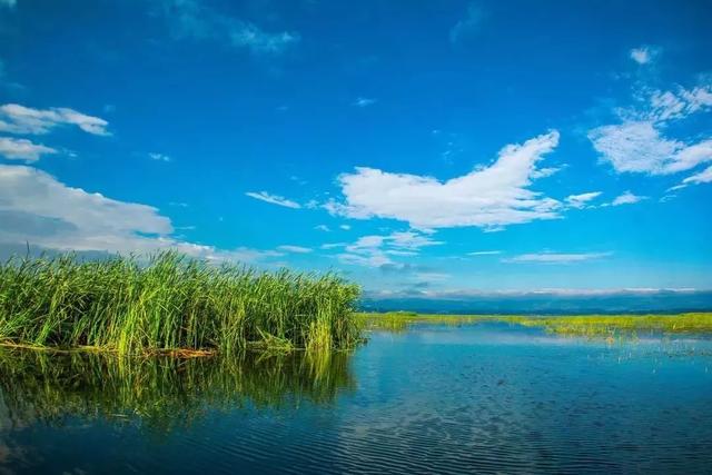 大理到丽江多少公里,大理到丽江古城多少公里(丽江和大理是一个地方吗) 大理到丽江多少公里,大理到丽江古城多少公里(丽江和大理是一个地方吗)