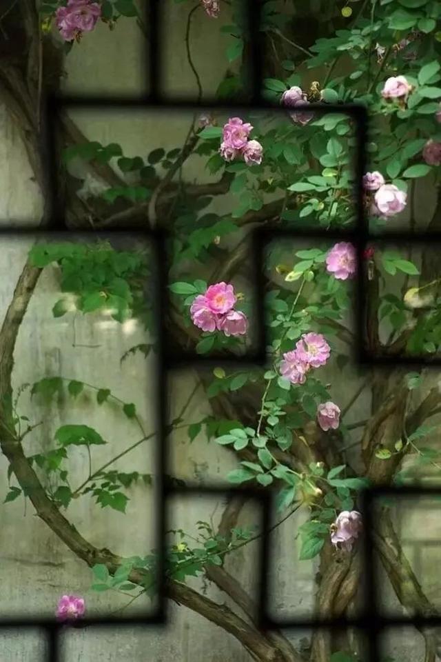 此去经年什么意思，何为＂此去经年，不负遇见＂（不负遇见；遇见）