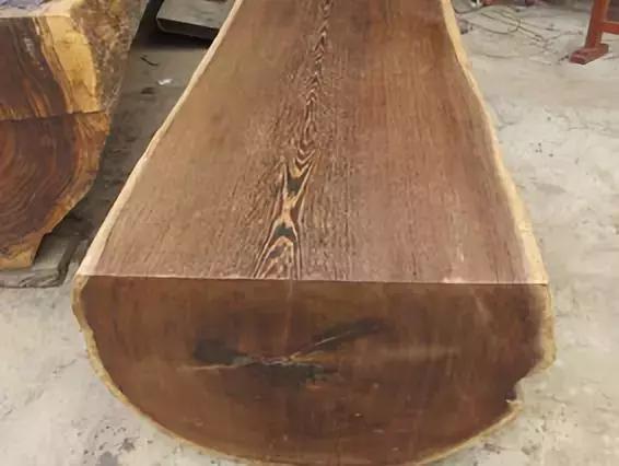 树木名称，知识，铁刀木与铁力木的区别（100种树木名称）