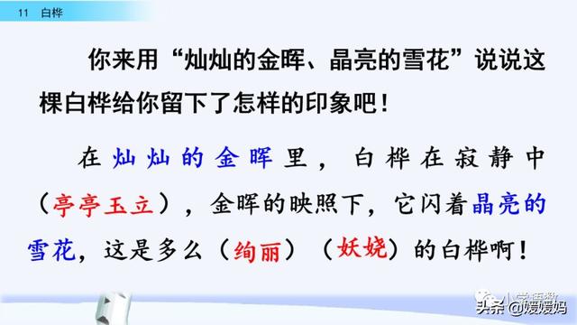 悠扬的近义词，“悠扬”的近义词是什么（四年级下册语文第11课《白桦》图文详解及同步练习）