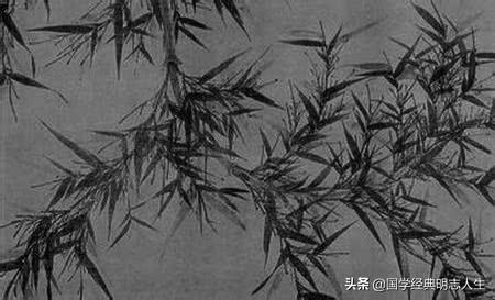 带袖字的成语，带袖子的成语（50个成语典故及其历史人物故事）