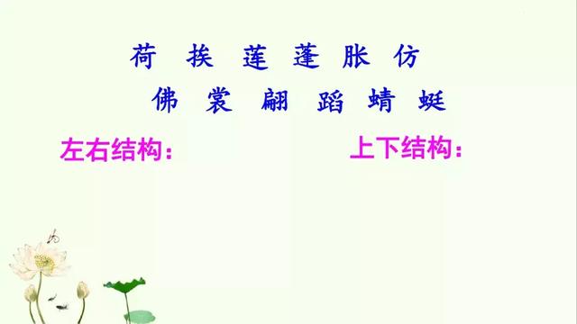 小莲蓬的拼音,的读音是什么(部编版三年级下册 3《荷花》) 小莲蓬的拼音,的读音是什么(部编版三年级下册 3《荷花》)