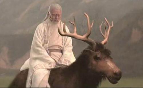 麋鹿寓意，麋鹿寓意着什么意思（头像马、角像鹿、颈像骆驼、尾像驴）