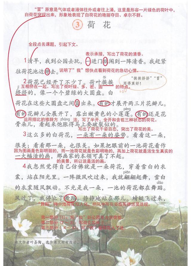 独角仙的特点是什么，独角仙的特点是什么什么,分别用了什么什么什么的方法（三年级语文下《第一单元课堂笔记》三个版本）