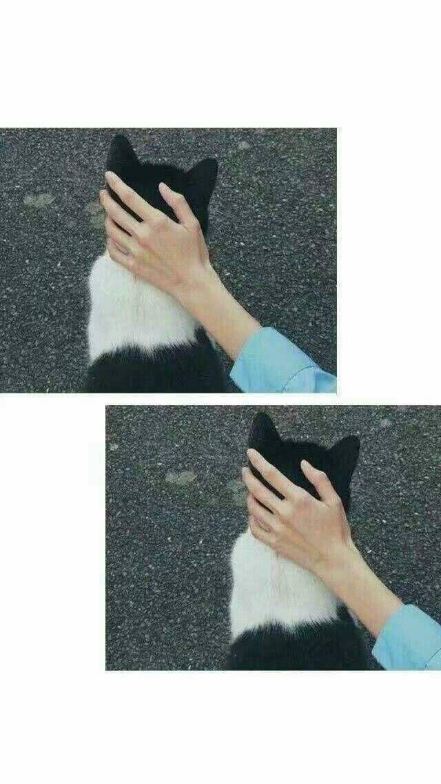 手控男生头像微信，手控男生头像（手控壁纸：手控党的福利来啦）