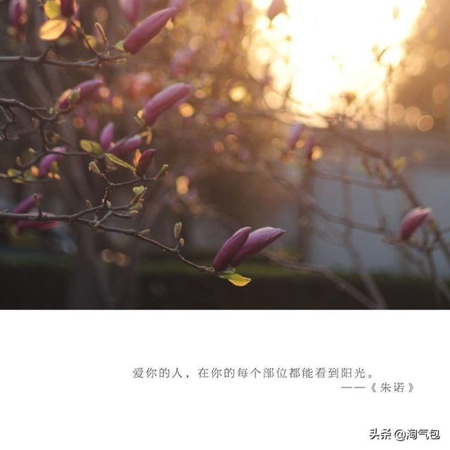 12个月都有什么情人节，二月没过情人节的今天补上