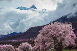 我国的名山有哪些，我国著名的大山都有哪些（震撼人心的中国10大名山）