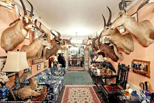 手不释卷的动物，手足之情的动物是什么生肖（世传王安石是獾转世投胎）