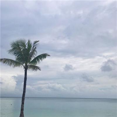 正能量的网名，正能量的微信名（坚持正义引人关注抖音名字满满正能量）