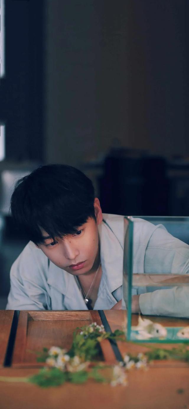 任万万呀，微信头像，任万万呀（爱豆壁纸\u0026语录）