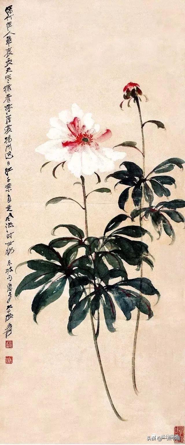 张大千擅长画什么，张大千擅长画什么动物（画家张大千）