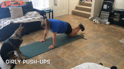 我的世界狗怎么驯服，网友教自家狗子玩《我的世界》