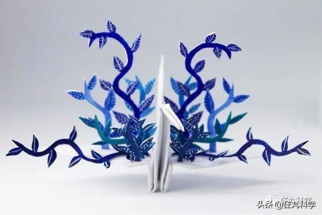 如何做一个千纸鹤，怎样才能做千纸鹤（一千天叠出1000种纸鹤）