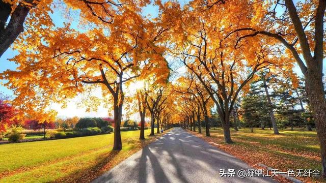 江天一色无纤尘，江天一色无纤尘是什么颜色（我言秋日胜春朝）