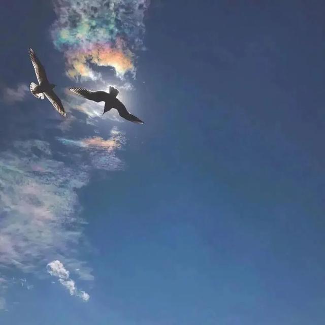 超赞的朋友圈背景图 背景图 月亮和星星会不会互道心事,超赞的朋友圈背景图怎么弄(好看的朋友圈背景图) 超赞的朋友圈背景图 背景图 月亮和星星会不会互道心事,超赞的朋友圈背景图怎么弄(好看的朋友圈背景图)