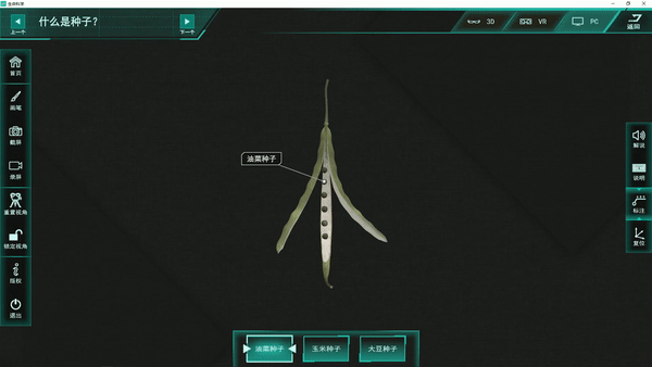 花是植物的什么器官，花是一些植物的什么器官（花是植物的什么器官）