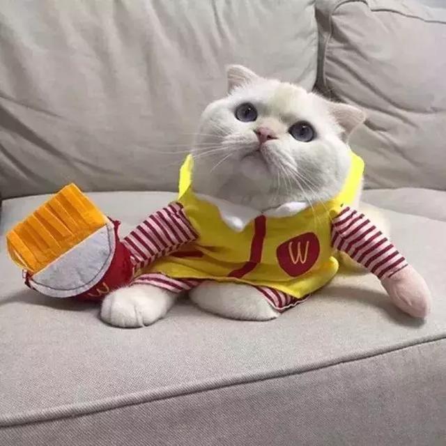 把昨天都作废…，微信头像，把昨天都作废…（壁纸，个性微信头像）