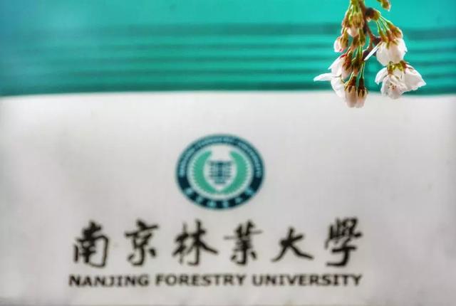 南京林业大学邮编，南京林业大学一本在哪个校区（南京林业大学2020年硕士研究生招生简章及招生专业目录发布）