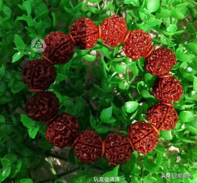 桃核手串什么样的最名贵，什么品种的桃核手串好有价值（这6种“白菜价”手串）