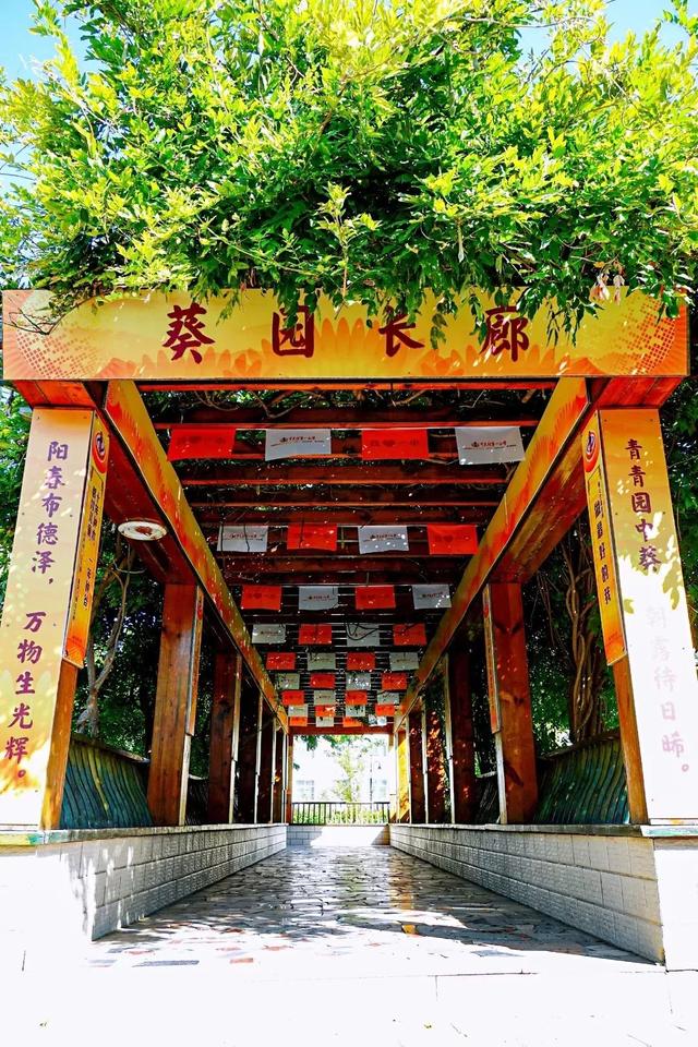 中关村一小有多厉害，中关村一小怎么样（中关村一小怀柔分校一体化办学2月有余）