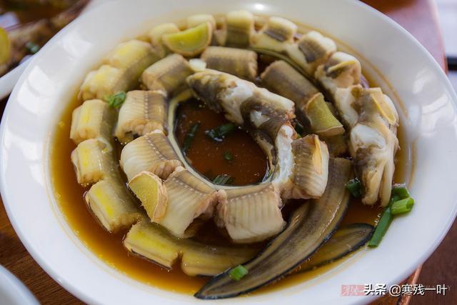 佛手螺是哪儿的特产，佛手螺最多的产地是哪里（浙江宁波渔山岛有个小渔村）