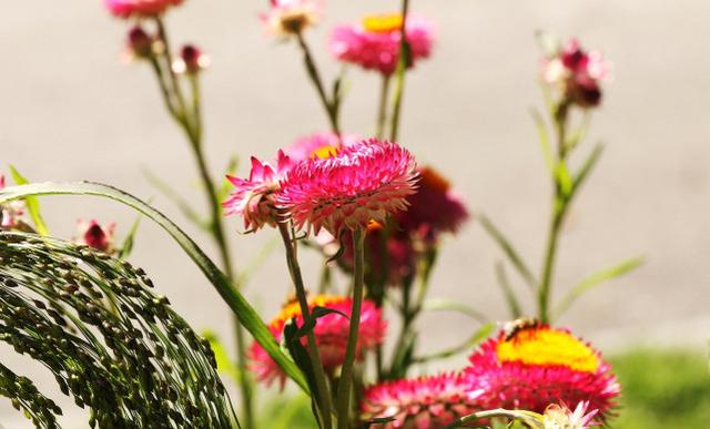 双子座和金牛座配吗，摩羯座和十二星座配对表（金牛座跟十二星座恋爱）
