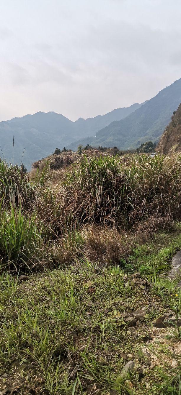 2021年立秋的具体时间 年8月7日14点37分，2021年立秋的具体时间（今天2021年8月7号）