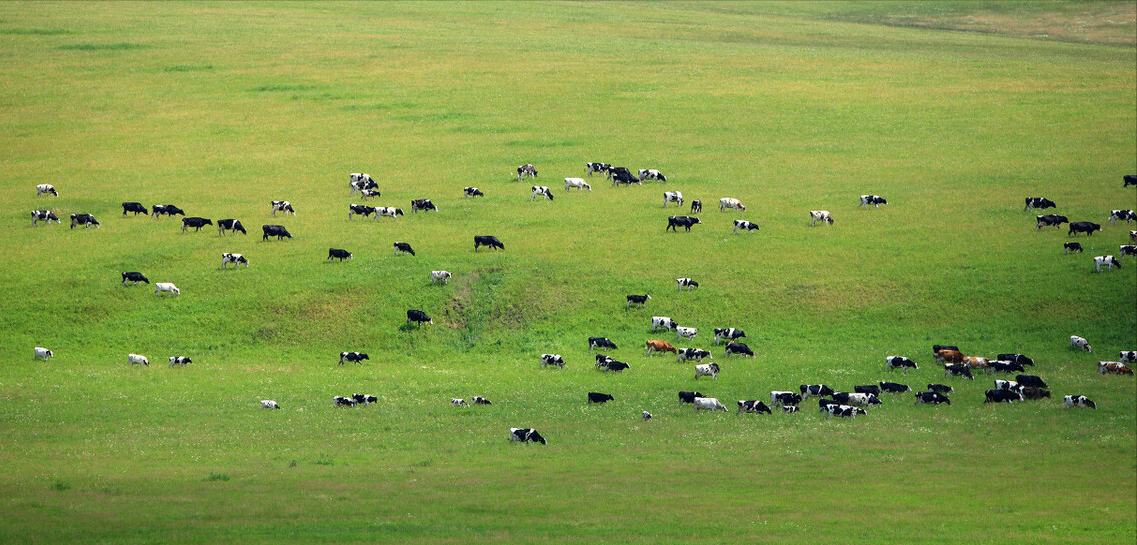 畜禽养殖污染防治条例（养殖场遇征收注意这三种情形）