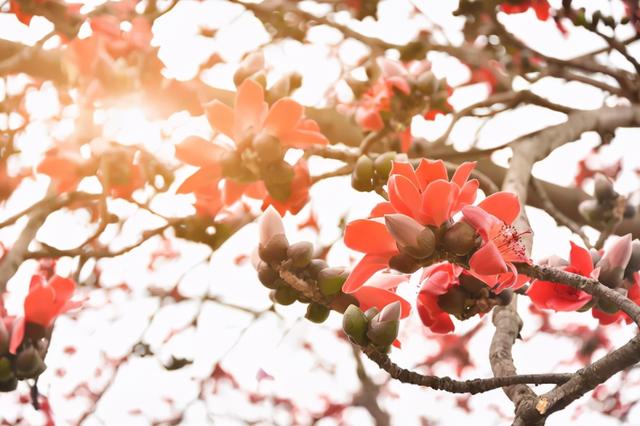 去湿气的小妙招，去湿气的小妙招有哪些（暴雨天，“祛湿豆”煲祛湿汤）