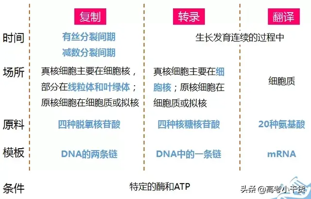 什么是基因的遗传信息，什么是基因的遗传信息传递（<基因、遗传篇>建议收藏）