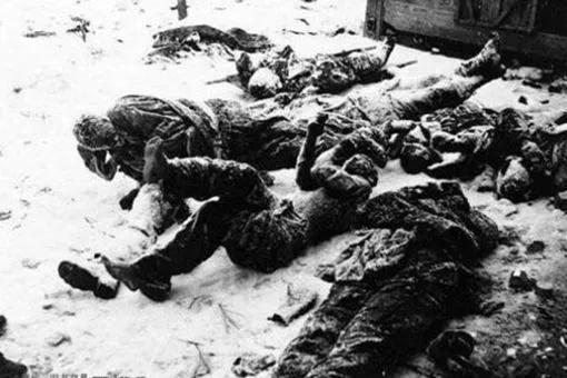 世界公认最惨烈的十大战役，斯大林格勒战役（世界公认最惨烈的十大战役扬州保卫战）