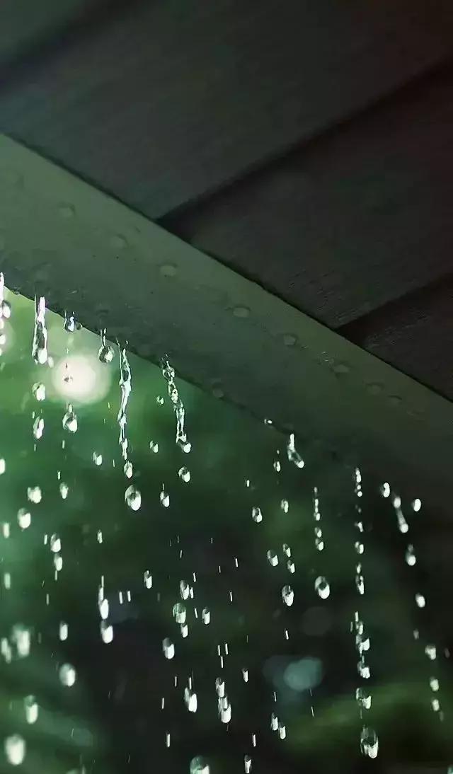 窗前听雨意境，在静怡的时光里听雨